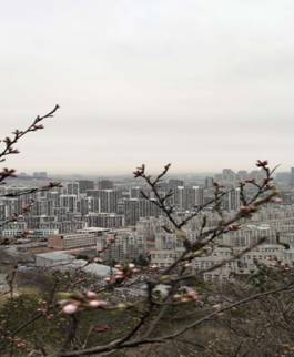 富国山春.jpg
